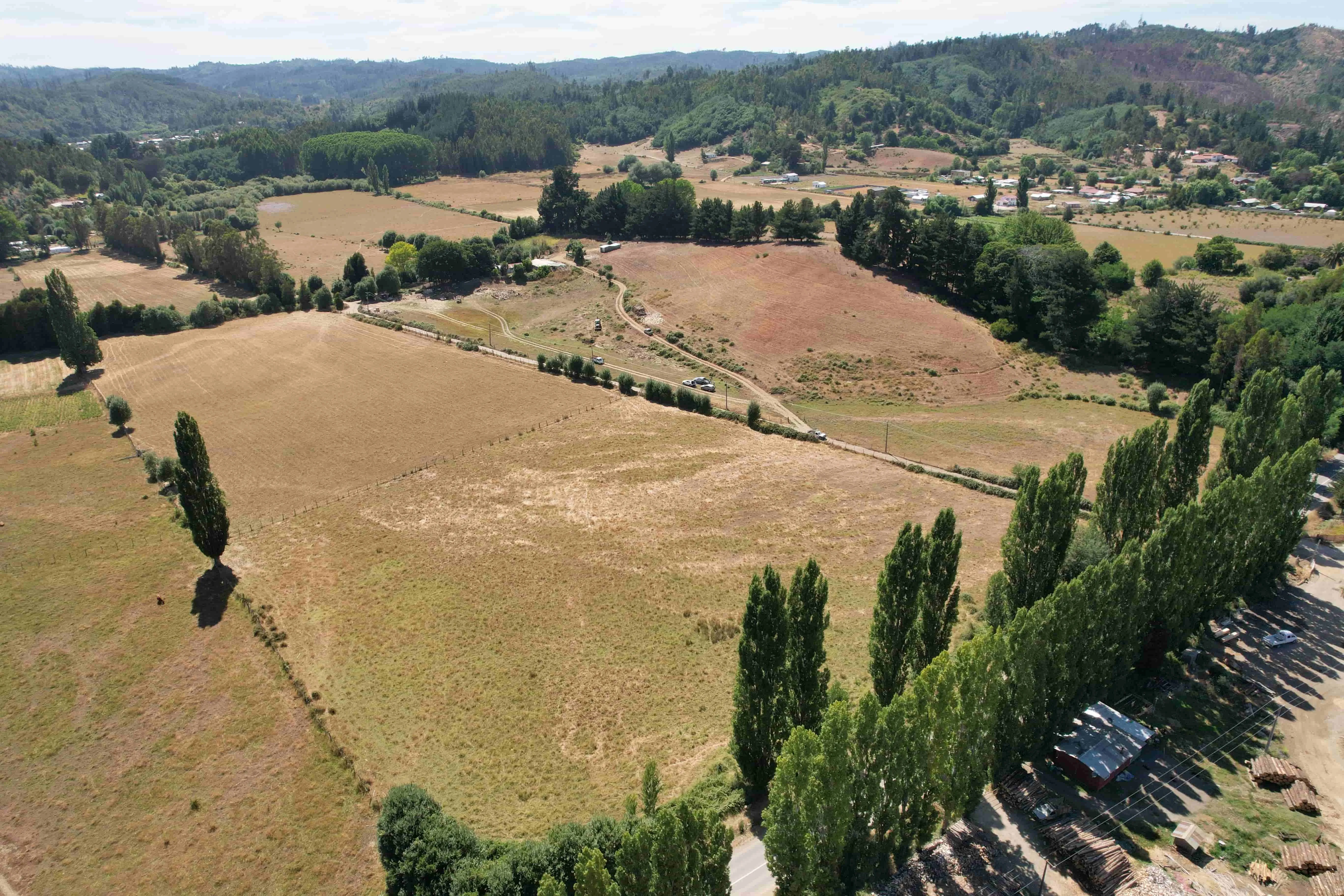 Vista del terreno plano con vegetación nativa